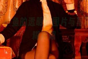 pans – 小鱼的透明：图片与写真间的模糊界限