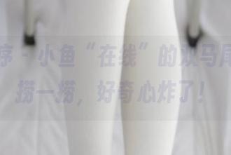 少女秩序 – 小鱼“在线”的双马尾合集，捞一捞，好奇心炸了！