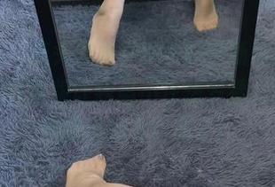 微密圈 – 梳头发提袜少女的崭新写真集，连体衣高清版让我忍不住想多看几遍，拍照的姿势太有趣了！